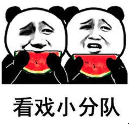 吃瓜表情啥意思