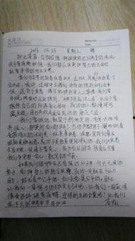 娱乐圈吃瓜作文800字,揭秘明星背后的故事